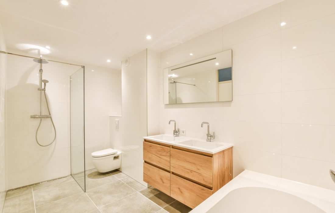 The interior design and decoration of a nice and modern bathroom
